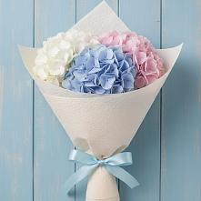 Букет цветов из:  Гортензия в Малино