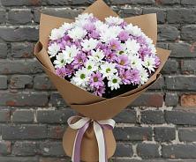 Букет цветов из:  Хризантемы #REPLACE_PRED# Малино