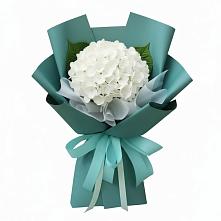 Букет цветов из:  Гортензия #REPLACE_PRED# Малино